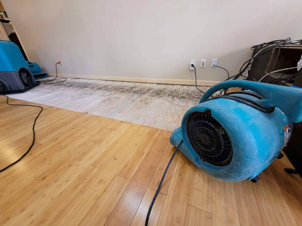 Professional Water Damage Repair technician working in Whitfield, PA